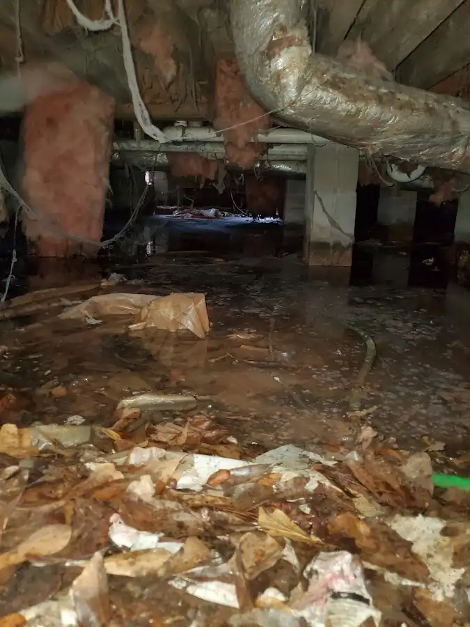 Crawl space flood assessment for Commercial Water Damage Restoration in Cottage Grove