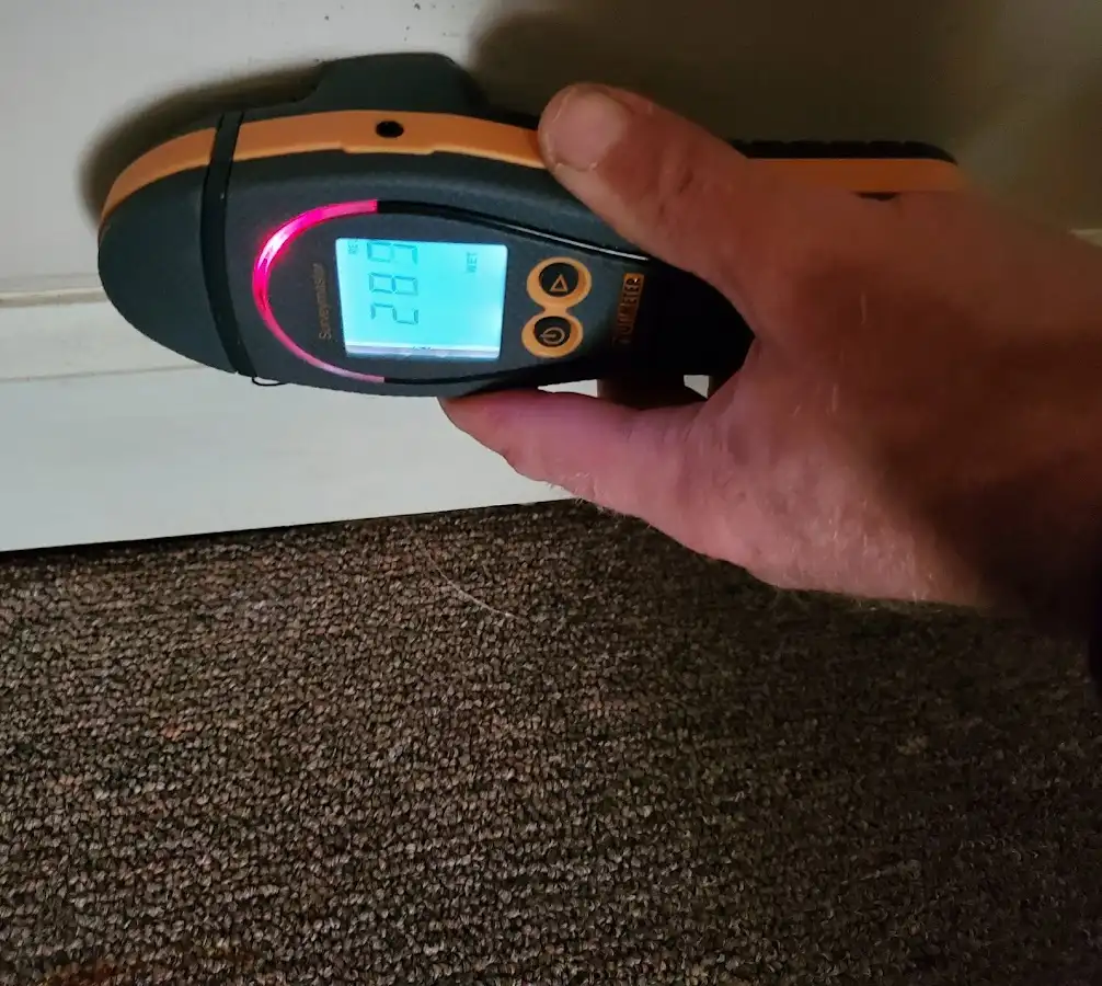 Moisture detection at baseboard during Sewage Cleanup & Sanitation in Cottage Grove